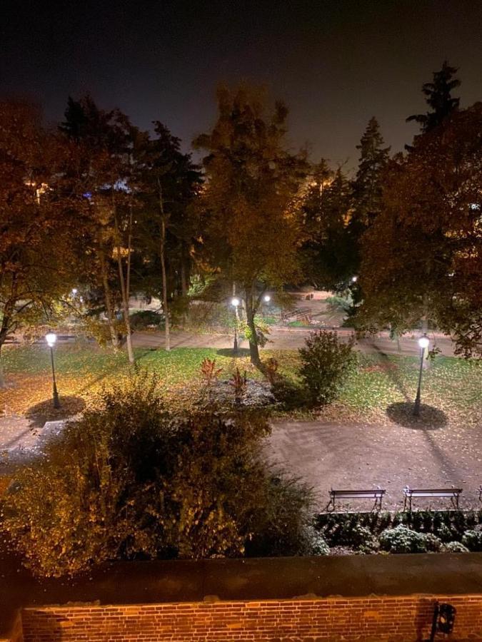 Piernikowe Apartamenty Torun Bagian luar foto