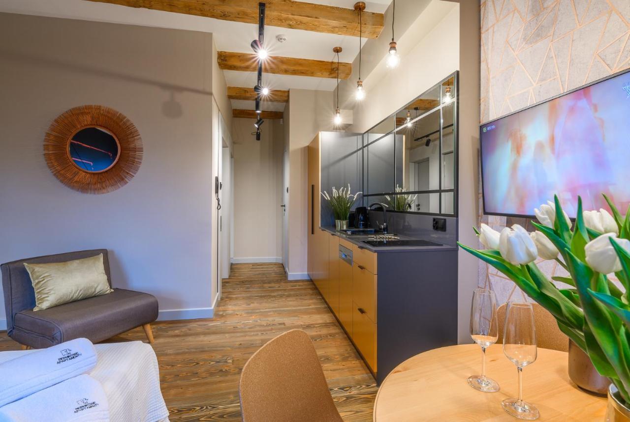 Piernikowe Apartamenty Torun Bagian luar foto
